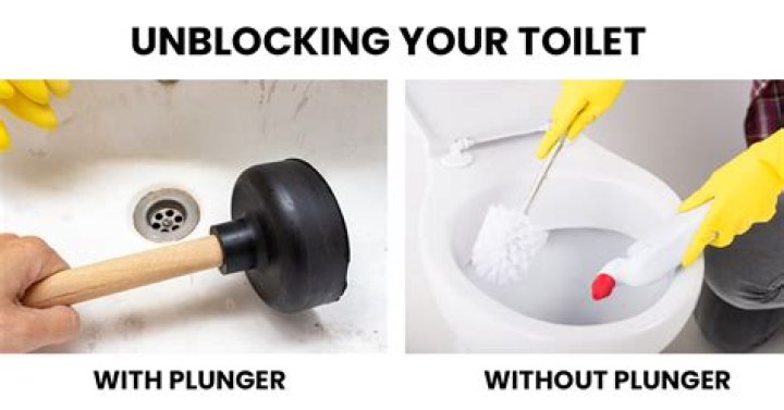 What home remedy can I use to unblock a toilet?