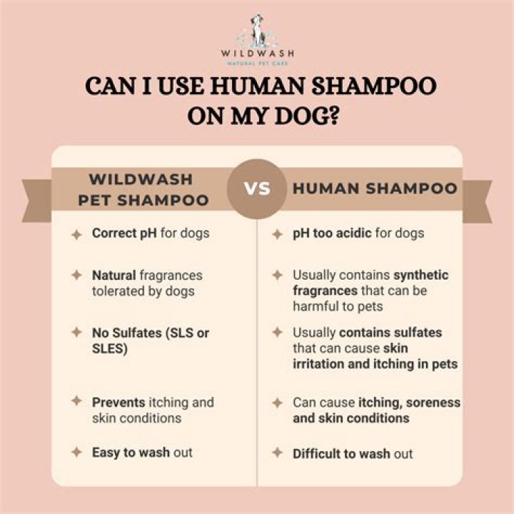 What human shampoo is OK for dogs?