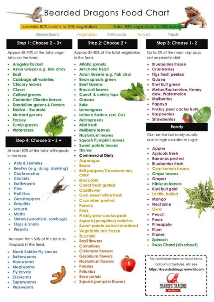 What is a bearded dragon's favorite food?