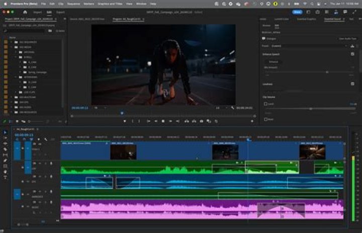 What is a canvas in editing software?