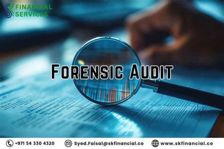 What is a financial forensic audit?