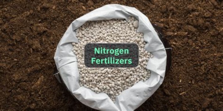 What is a good high nitrogen fertilizer?