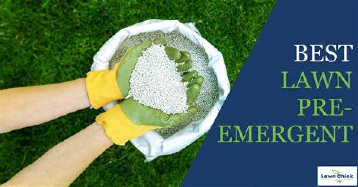 What is a good pre emergent for weeds?