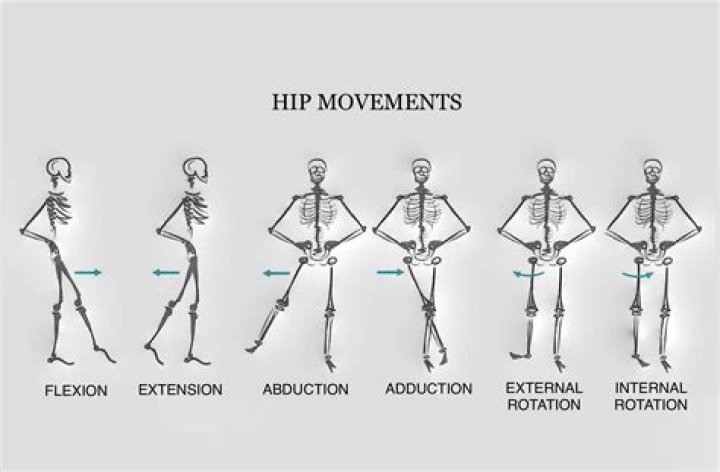 What is a hip producing rose?