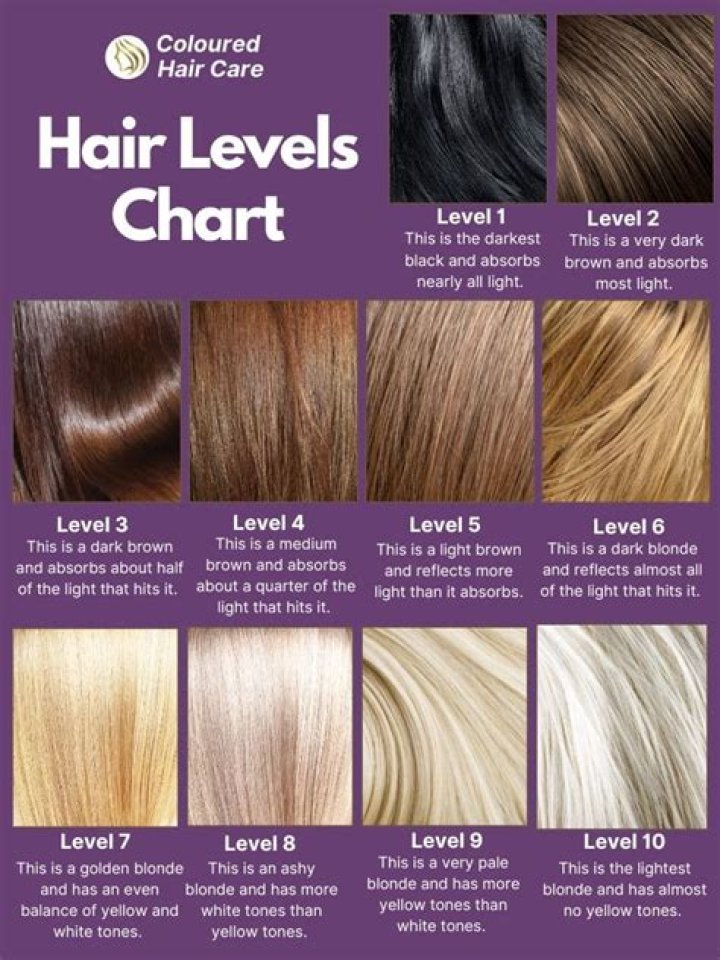 What is a Level 6 hairdresser?