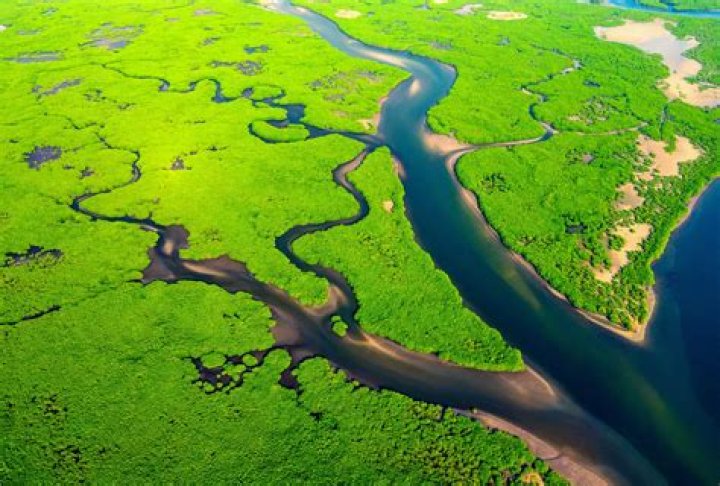 What is a river in the ocean called?
