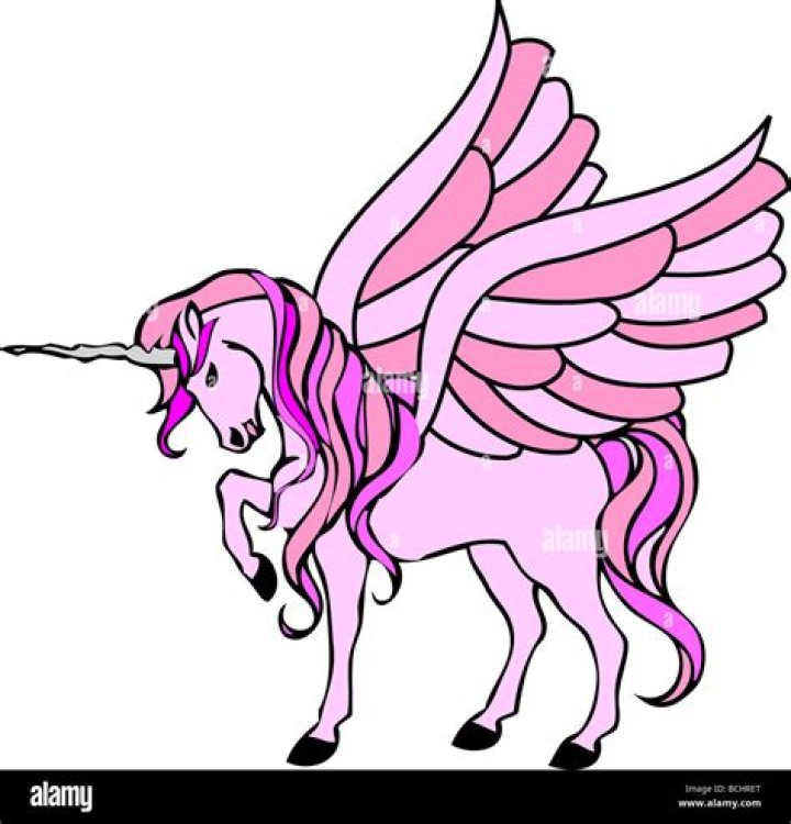 What is a unicorn with wings?