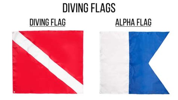 What is an Alpha dive flag?