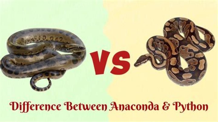 What is Anaconda vs Python?