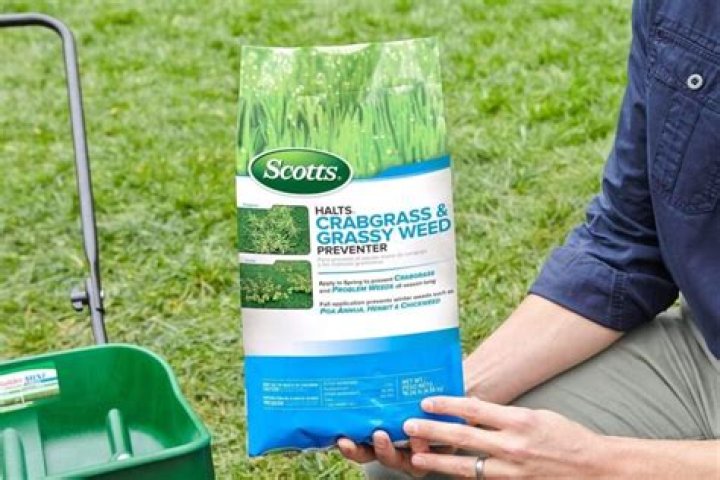What is best for killing crabgrass?