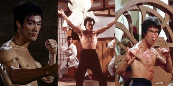 What is Bruce Lee's fighting style?