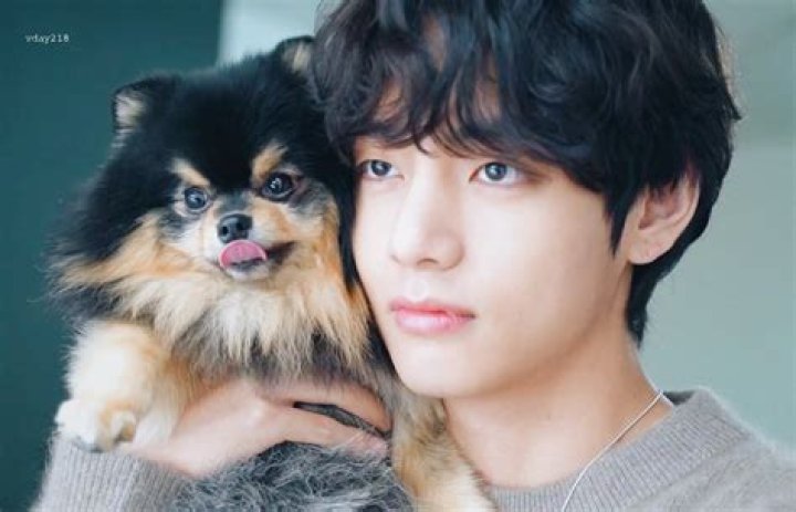What is BTS V dog name?