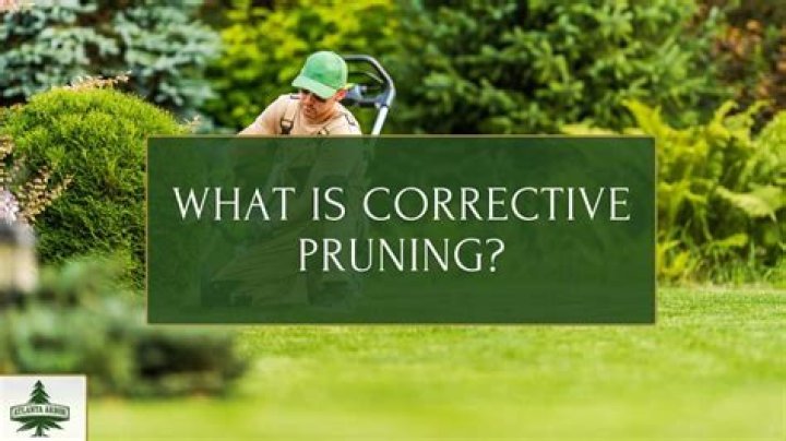 What is corrective pruning?