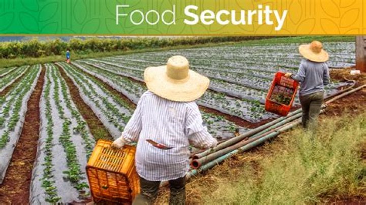 What is food security in agriculture?