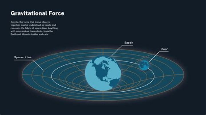 What is gravitational force class 11th?