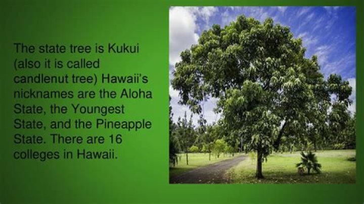What is Hawaii state vegetable?