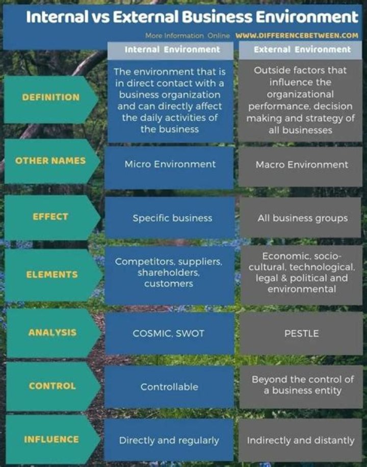 What is internal environment of a business?