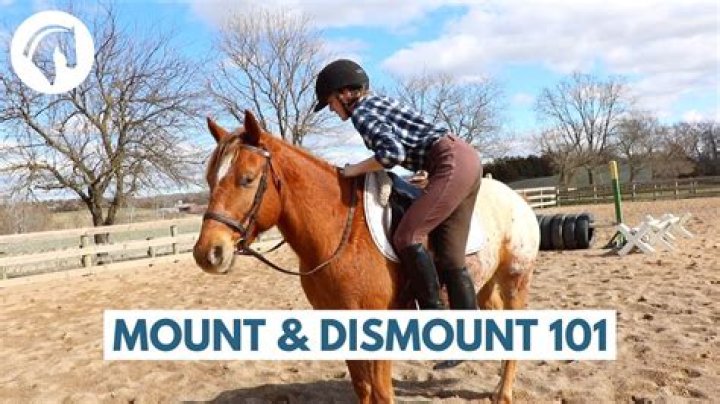 What is it called when you dismount from a horse?