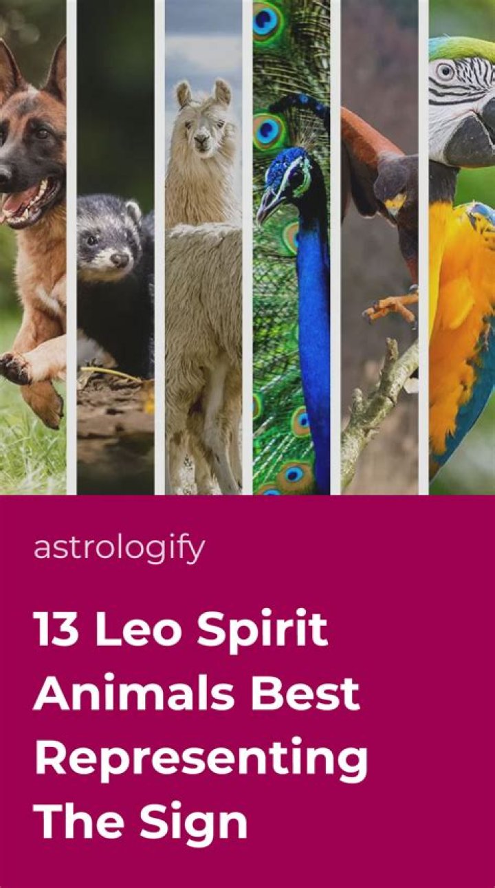 What is Leo spirit animal?