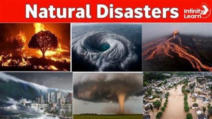 What is meant by disaster answer in one sentence?