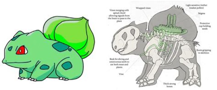 What is on Bulbasaurs back?