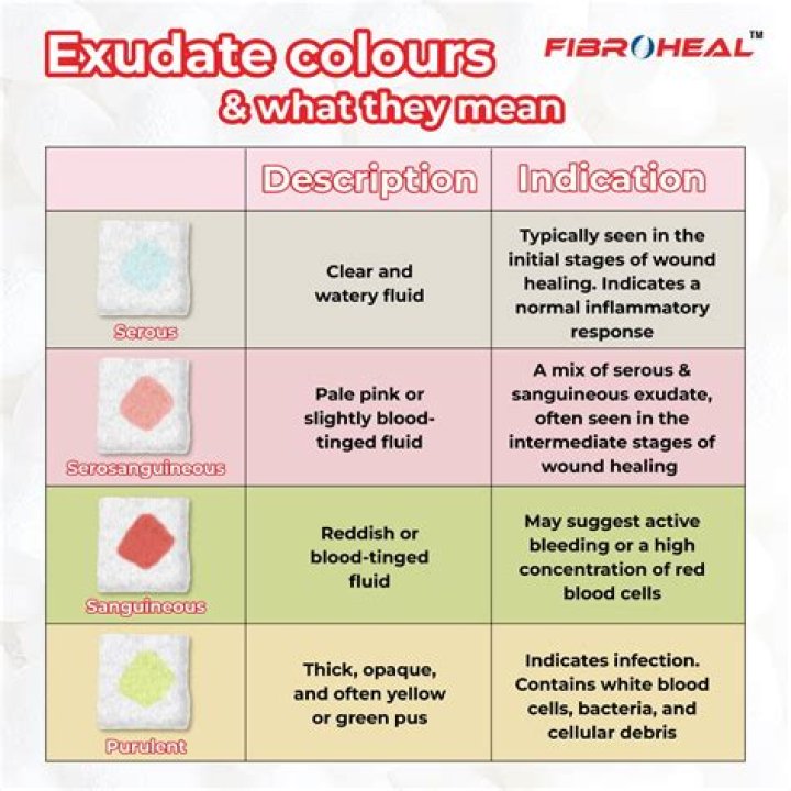 What is serous exudate?