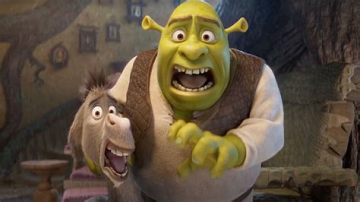 What is Shrek weakness?