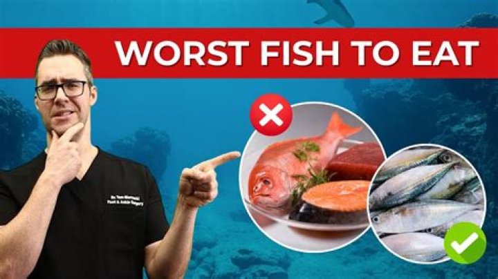 What is the best and worst fish to eat?