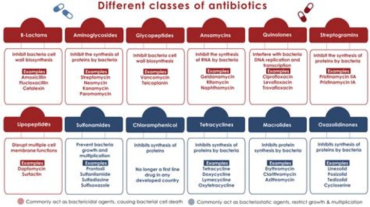 What is the best antibiotic for male UTI?