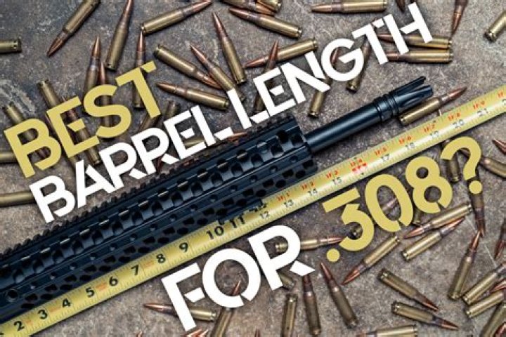 What is the best barrel length for 450 Bushmaster?