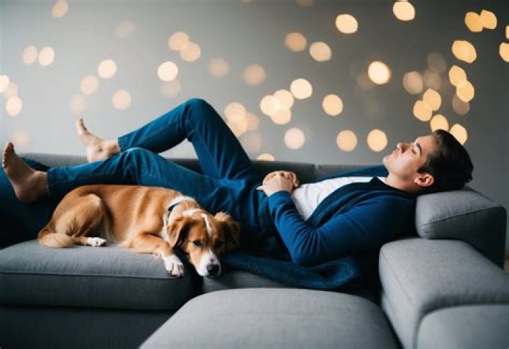 What is the best dog for a lazy person?