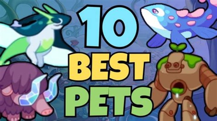 What is the best first pet bird?