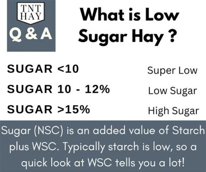 What is the best low sugar hay?