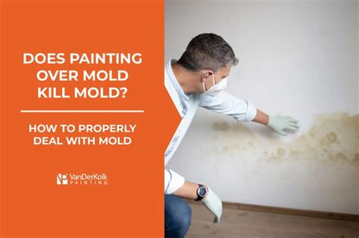 What is the best mold killing paint?
