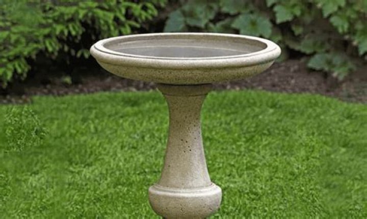 What is the best way to clean a cement bird bath?