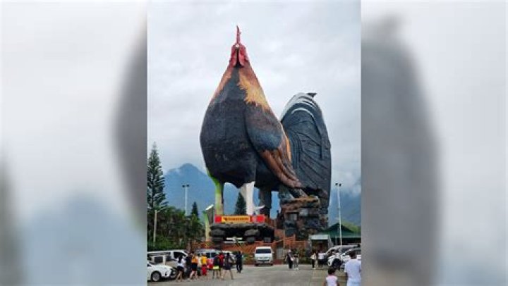 What is the biggest chicken on record?