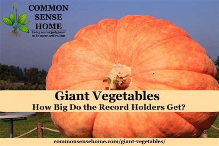 What is the biggest vegetable?