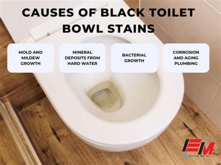 What is the black stuff growing in my shower?