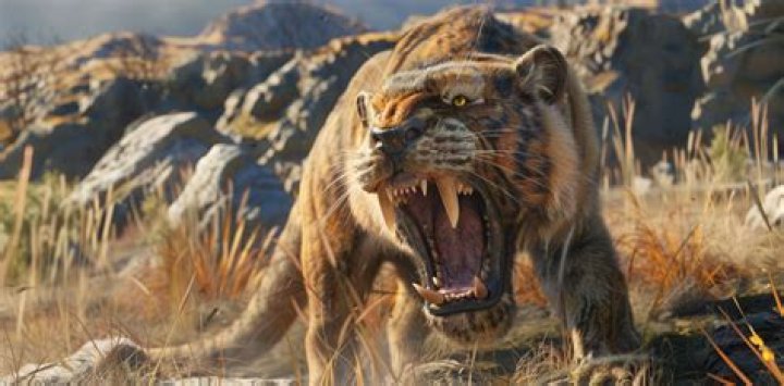 What is the closest living relative to a saber tooth tiger?