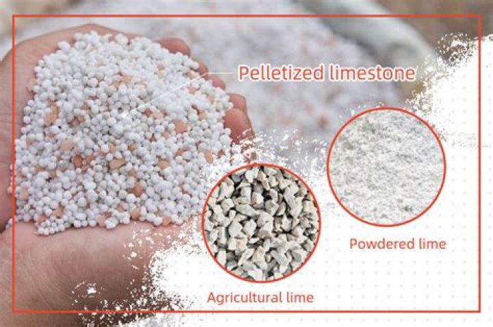 What is the difference between barn lime and agricultural lime?