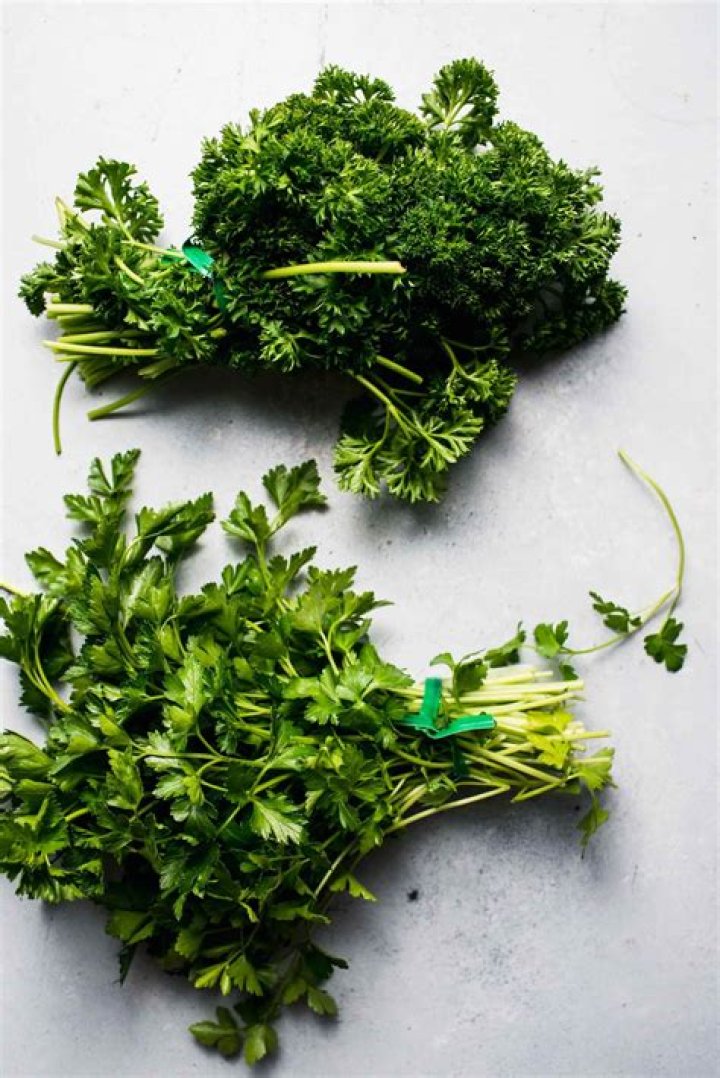 What is the difference between fresh parsley and dried parsley?