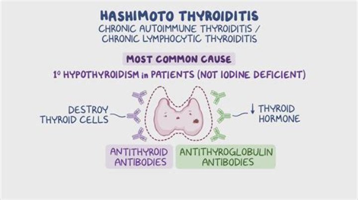 What is the difference between Hashimoto's disease and hypothyroidism?
