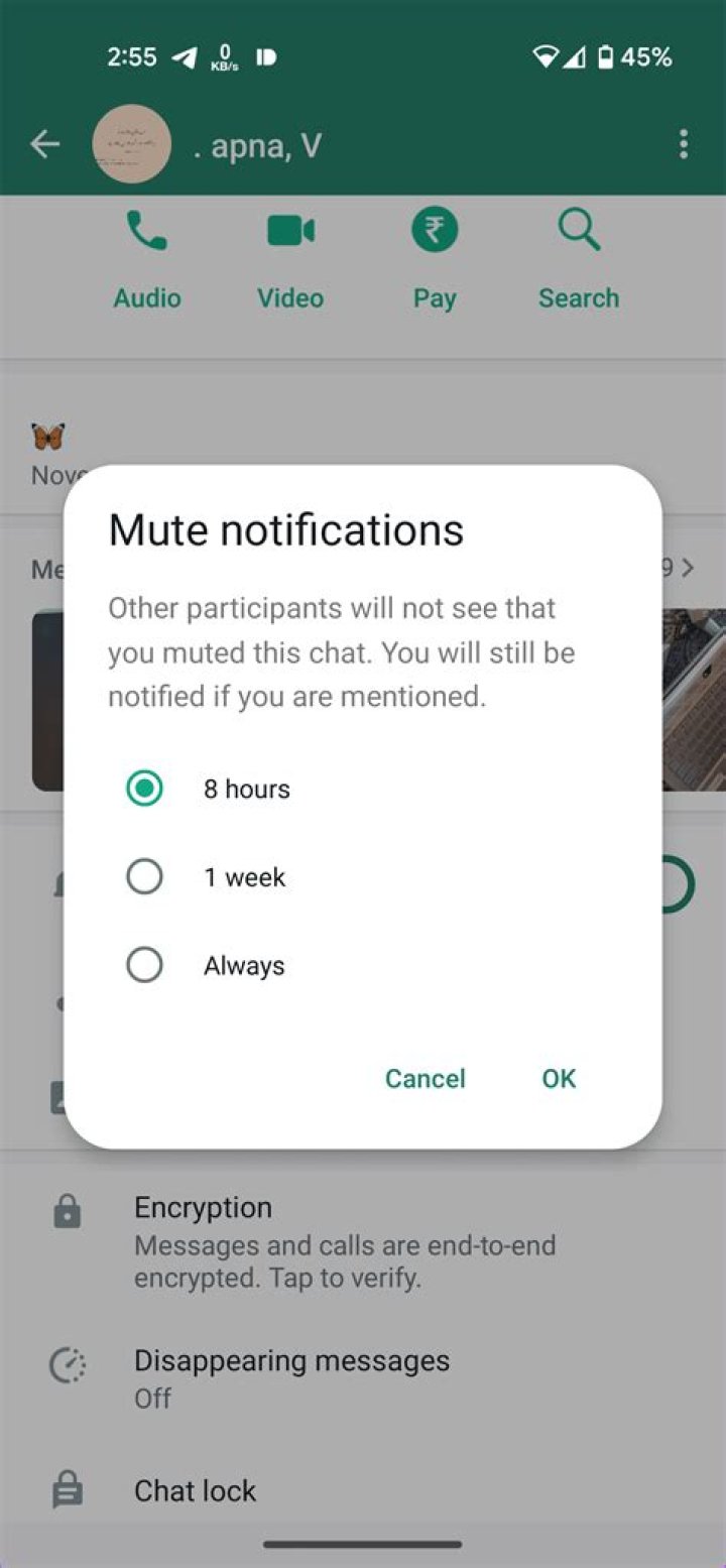 What is the difference between mute and block on WhatsApp?