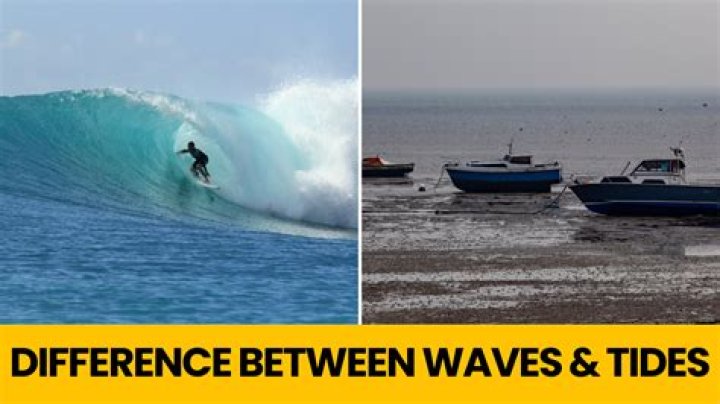 What is the difference between Tide and Ariel?