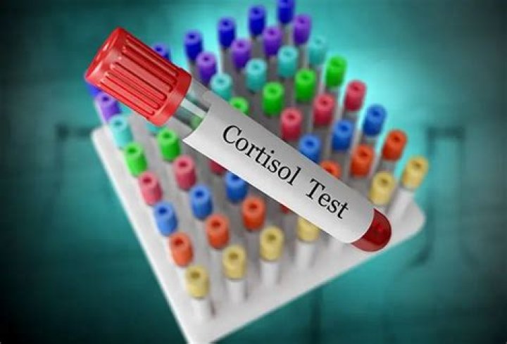 What is the fastest way to cure adrenal fatigue?