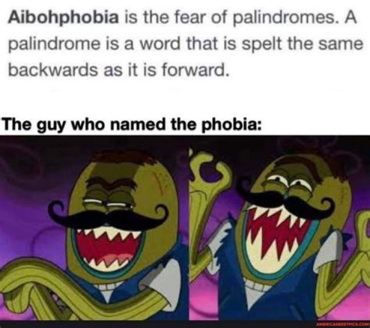 What is the fear of palindromes?
