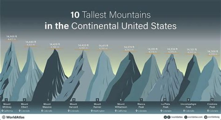 What is the highest position in a university?