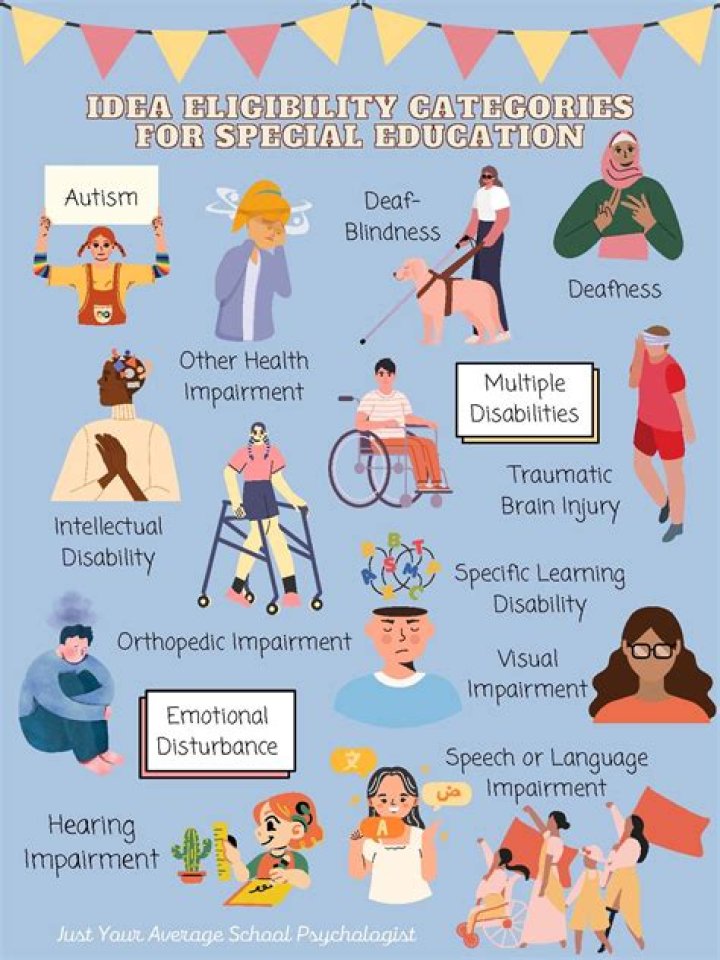 What is the idea Act of 2004?