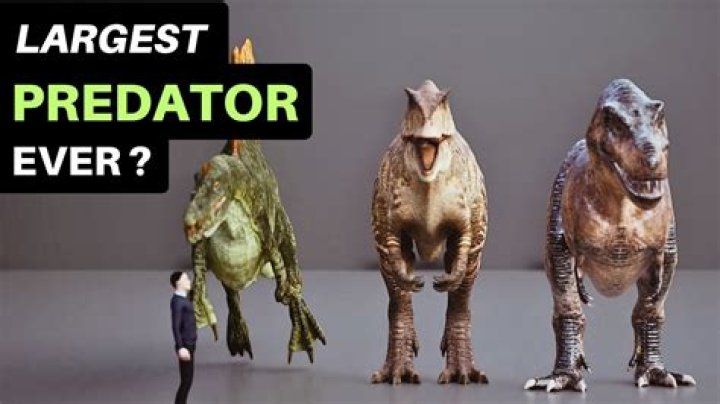 What is the largest predator to ever exist?
