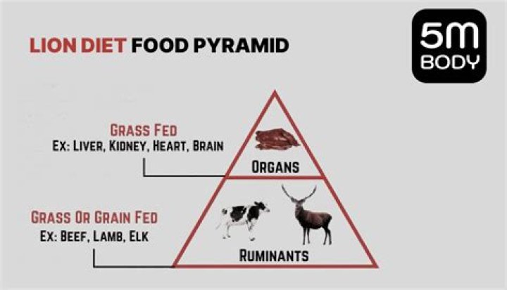 What is the lion diet?